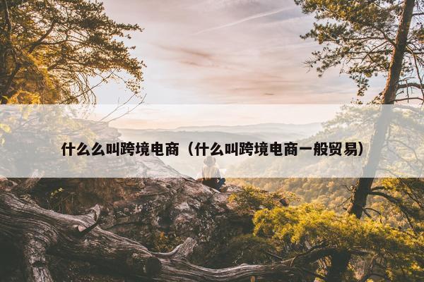 什么么叫跨境电商（什么叫跨境电商一般贸易）