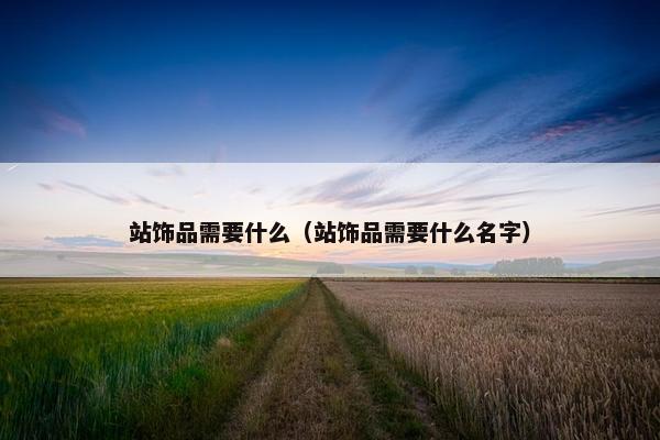站饰品需要什么（站饰品需要什么名字）