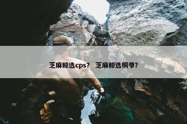 芝麻鲸选cps？ 芝麻鲸选桐爷？