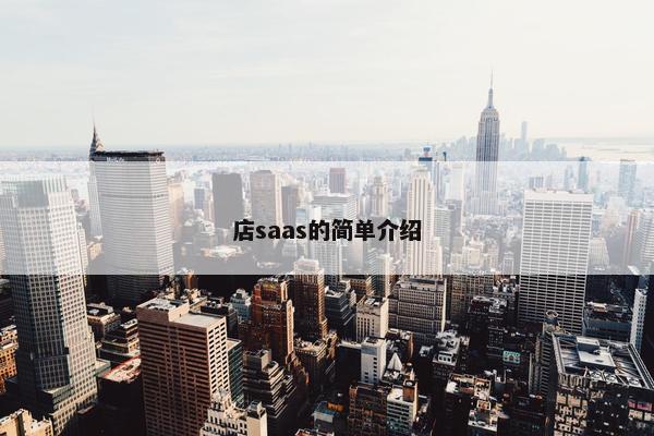 店saas的简单介绍