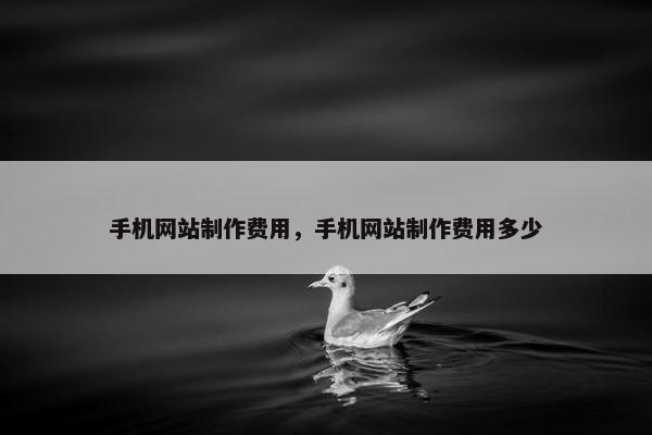 手机网站制作费用，手机网站制作费用多少