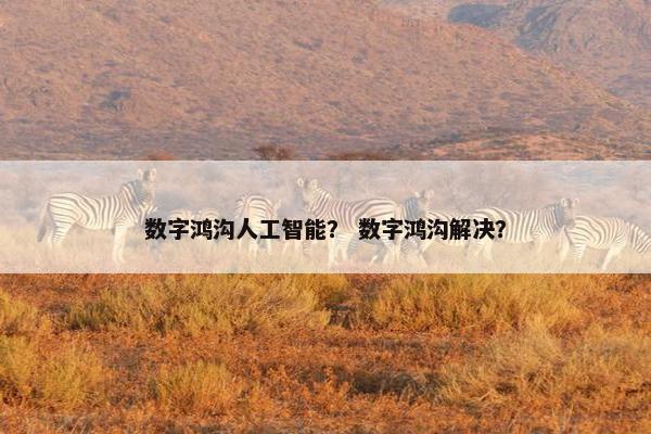 数字鸿沟人工智能？ 数字鸿沟解决？