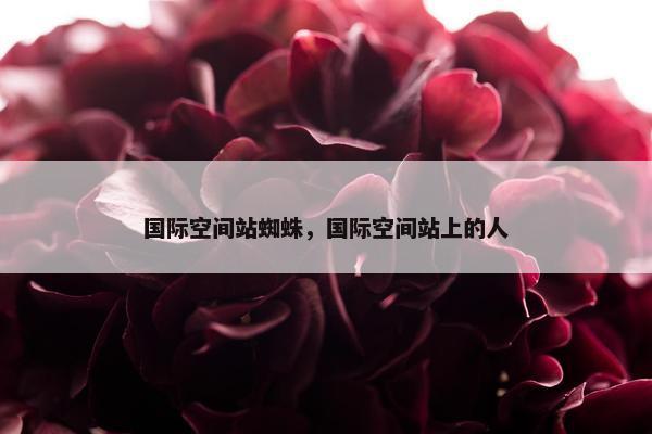 国际空间站蜘蛛，国际空间站上的人