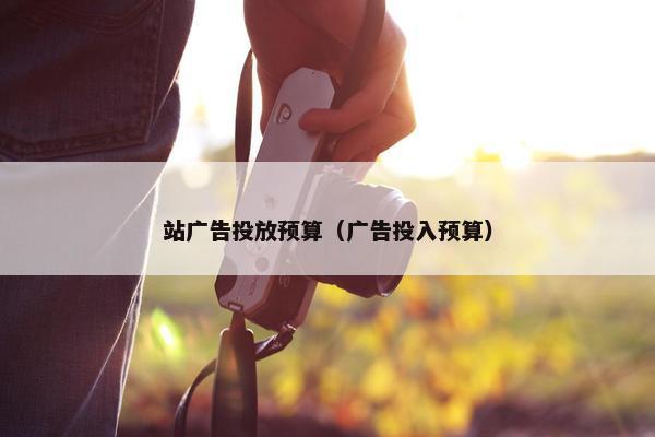 站广告投放预算（广告投入预算）