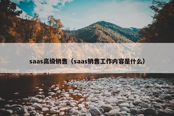 saas高级销售（saas销售工作内容是什么）