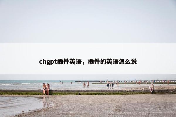 chgpt插件英语，插件的英语怎么说