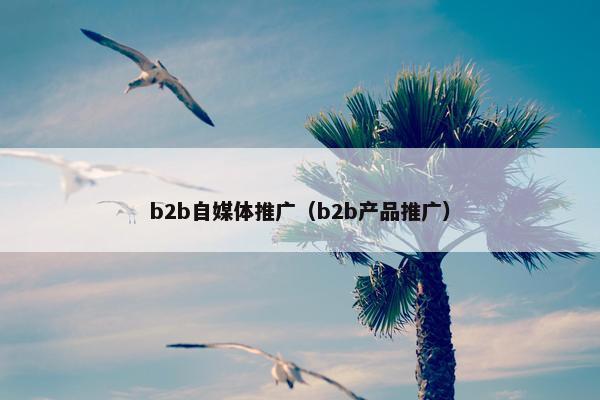 b2b自媒体推广（b2b产品推广）