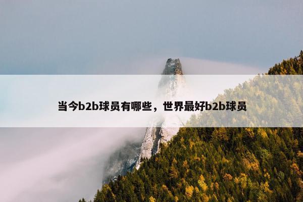 当今b2b球员有哪些，世界最好b2b球员