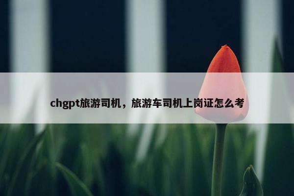 chgpt旅游司机，旅游车司机上岗证怎么考