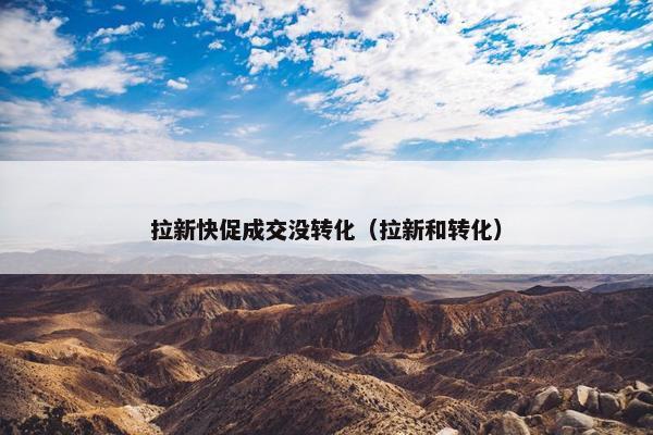 拉新快促成交没转化（拉新和转化）