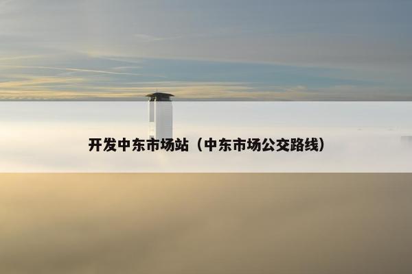 开发中东市场站（中东市场公交路线）