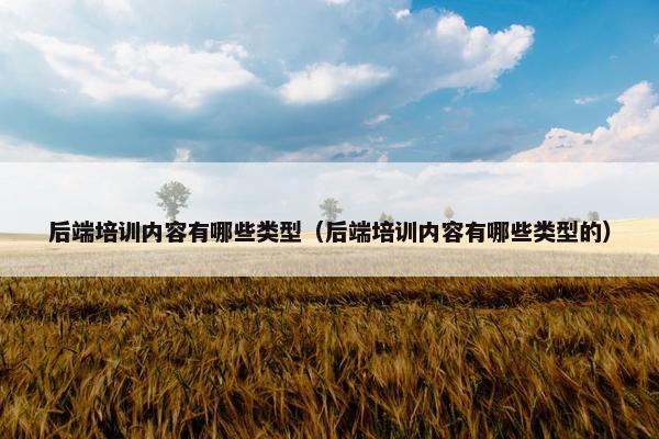后端培训内容有哪些类型（后端培训内容有哪些类型的）