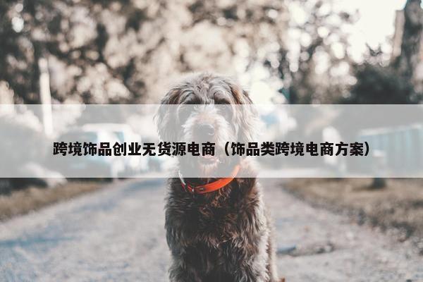 跨境饰品创业无货源电商（饰品类跨境电商方案）