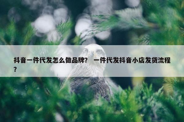 抖音一件代发怎么做品牌？ 一件代发抖音小店发货流程？