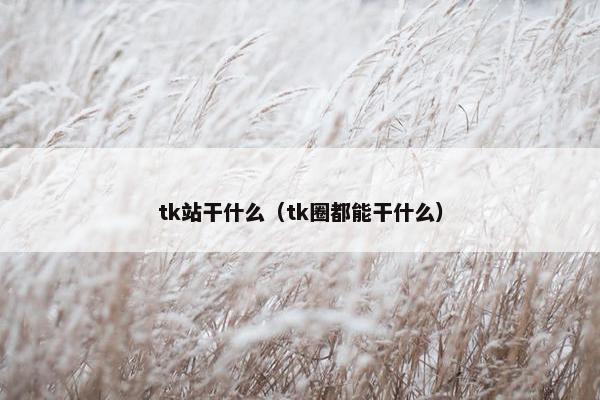 tk站干什么（tk圈都能干什么）