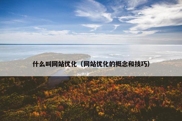 什么叫网站优化（网站优化的概念和技巧）