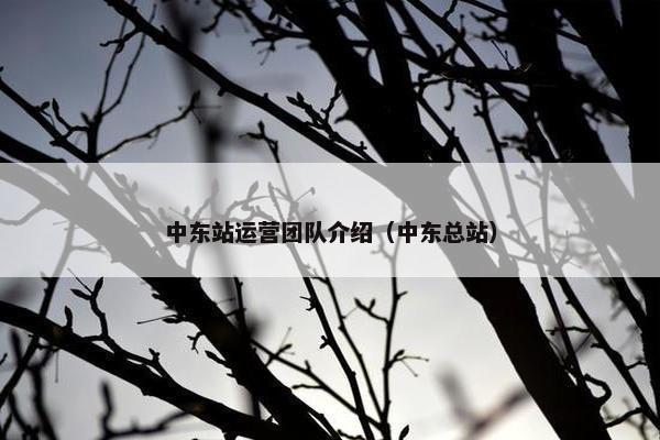 中东站运营团队介绍（中东总站）