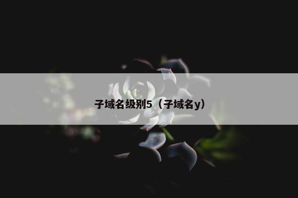 子域名级别5（子域名y）