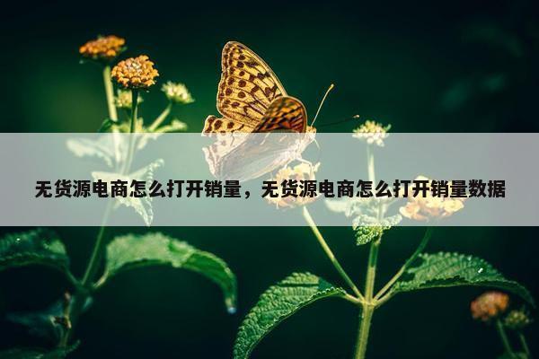 无货源电商怎么打开销量，无货源电商怎么打开销量数据