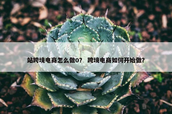 站跨境电商怎么做0？ 跨境电商如何开始做？