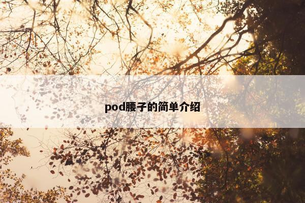 pod腰子的简单介绍