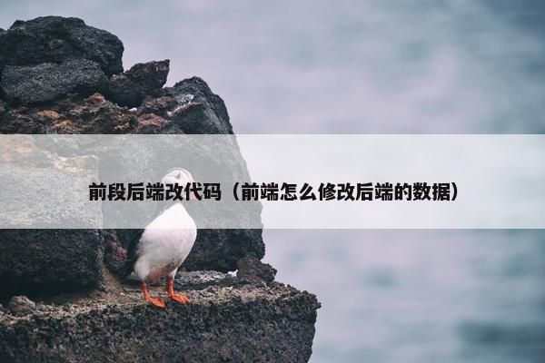 前段后端改代码（前端怎么修改后端的数据）