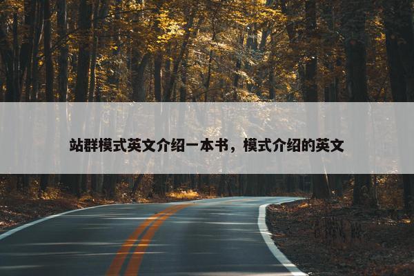 站群模式英文介绍一本书，模式介绍的英文