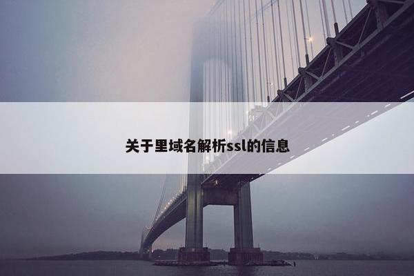 关于里域名解析ssl的信息