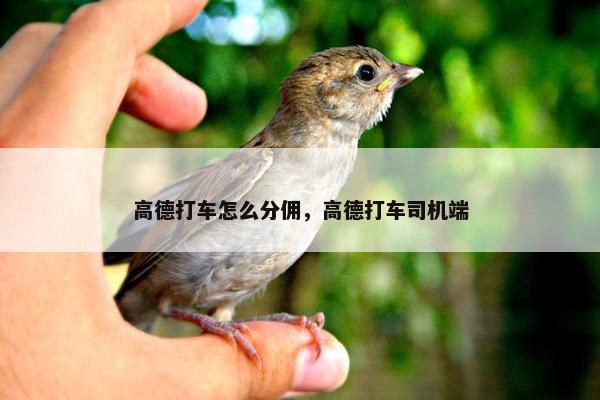 高德打车怎么分佣，高德打车司机端