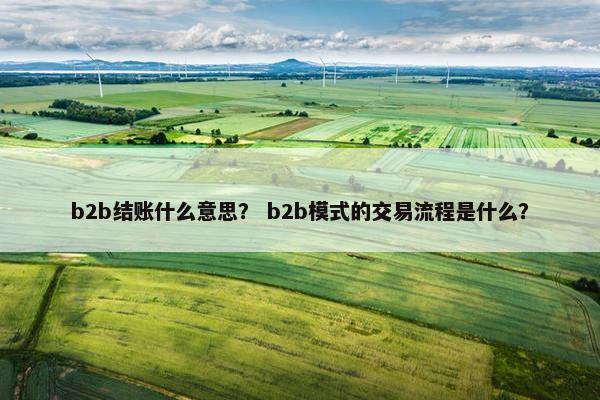 b2b结账什么意思？ b2b模式的交易流程是什么？