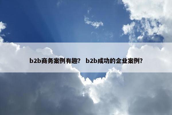 b2b商务案例有趣？ b2b成功的企业案例？
