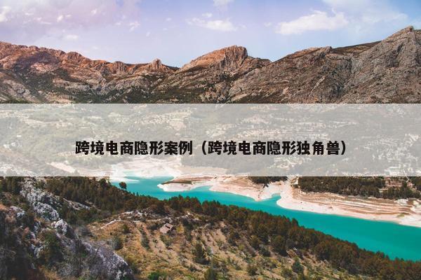 跨境电商隐形案例（跨境电商隐形独角兽）