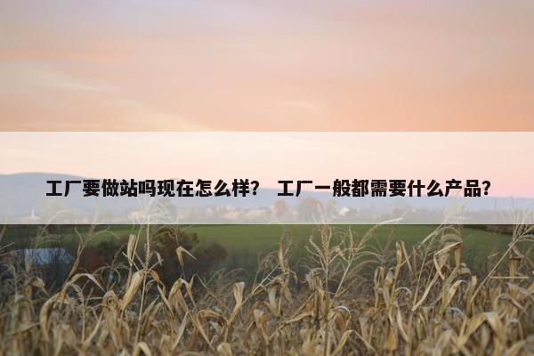 工厂要做站吗现在怎么样？ 工厂一般都需要什么产品？