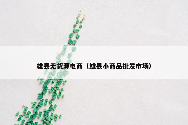 雄县无货源电商（雄县小商品批发市场）