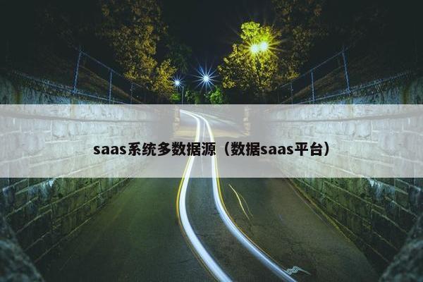 saas系统多数据源（数据saas平台）