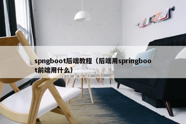 spngboot后端教程（后端用springboot前端用什么）