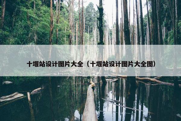 十堰站设计图片大全（十堰站设计图片大全图）
