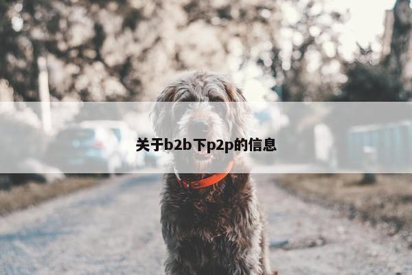 关于b2b下p2p的信息