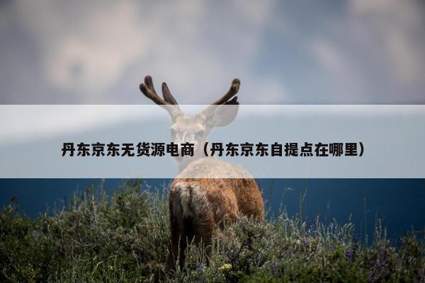 丹东京东无货源电商（丹东京东自提点在哪里）