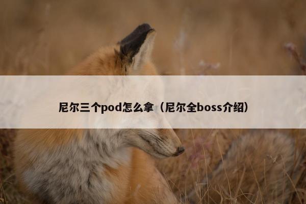 尼尔三个pod怎么拿（尼尔全boss介绍）
