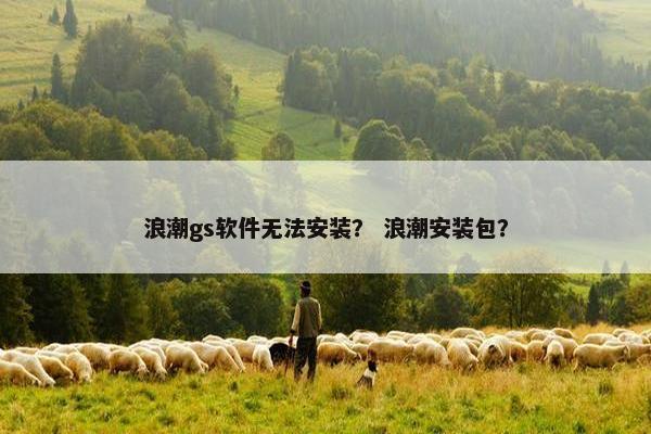 浪潮gs软件无法安装？ 浪潮安装包？