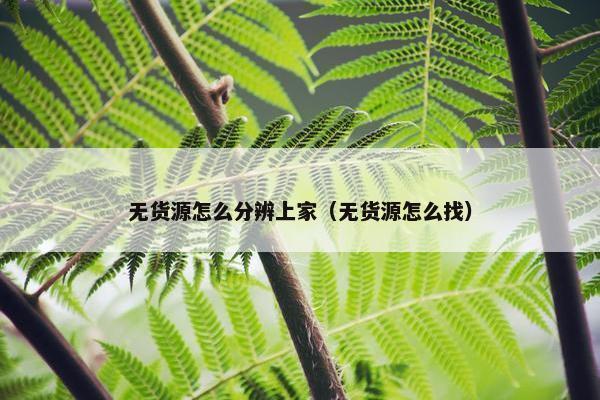 无货源怎么分辨上家（无货源怎么找）