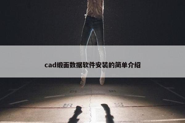 cad缎面数据软件安装的简单介绍