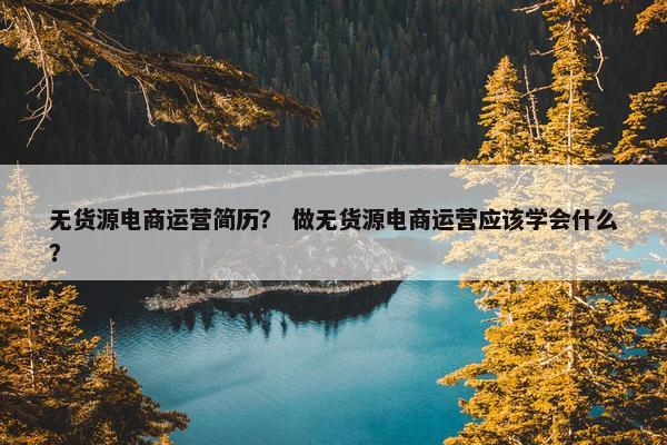 无货源电商运营简历？ 做无货源电商运营应该学会什么？