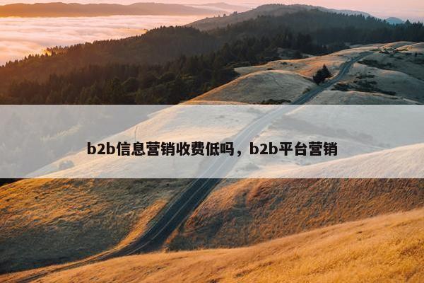 b2b信息营销收费低吗，b2b平台营销