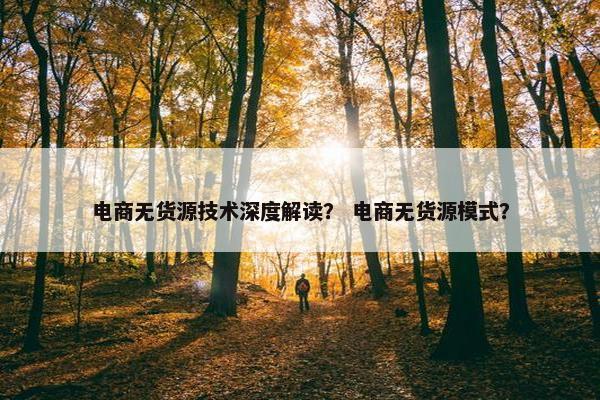电商无货源技术深度解读？ 电商无货源模式？