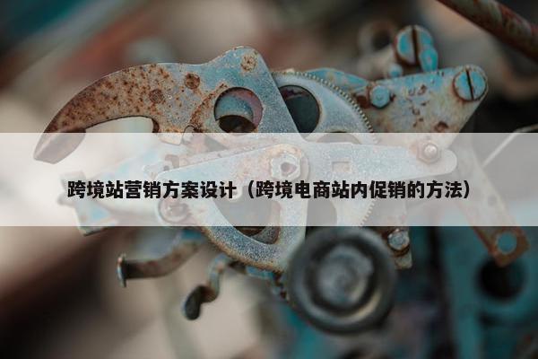 跨境站营销方案设计（跨境电商站内促销的方法）