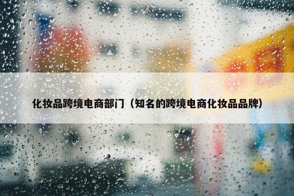 化妆品跨境电商部门（知名的跨境电商化妆品品牌）