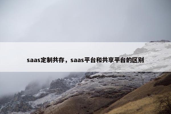 saas定制共存，saas平台和共享平台的区别