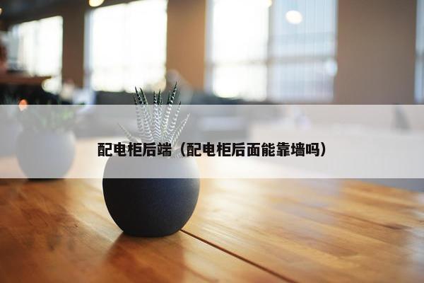 配电柜后端（配电柜后面能靠墙吗）